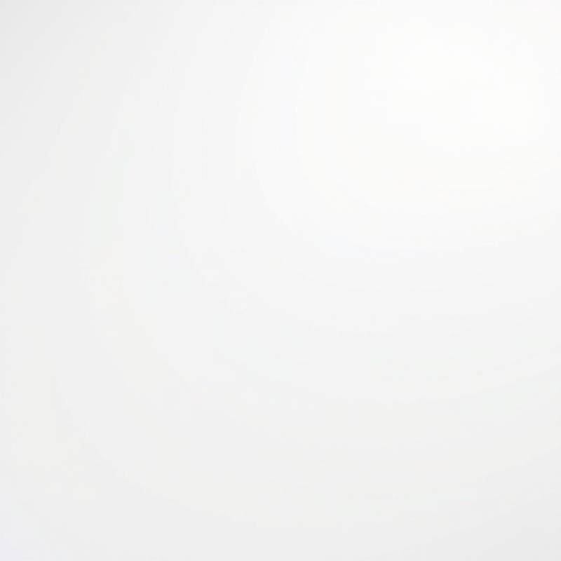 Placeholder Image 8